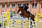 Zomerjumping Dagen van het Paard