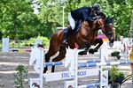 Zomerjumping Dagen van het Paard