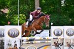 Zomerjumping Dagen van het Paard