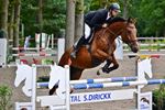 Zomerjumping Dagen van het Paard