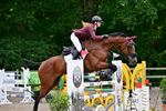 Zomerjumping Dagen van het Paard