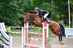 Zomerjumping Dagen van het Paard