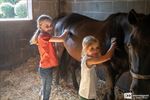 Pony's verzorgen en knuffelen op De Heuvelhoeve