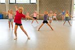 Danskamp Dansstudio Attitude barst van energie