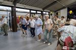 250 jaar transport en reizen met Benelux Cars