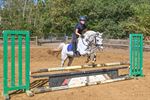 Paardenplezier op springkamp De Vlindervallei