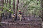 Bosbrand in Tervant