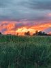 Pelt in vuur en vlam, maar gelukkig alleen op foto