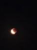 Maansverduistering