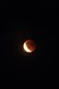 Bloedmaan boven Peer