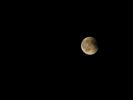 Bloedmaan boven Peer