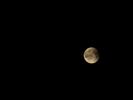 Bloedmaan boven Peer