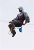 Highliners stelen de (duiven)show