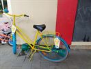Fietsweek in De Robbert