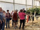 OKRA Koersel smult van lekkere aardbeien
