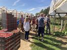 OKRA Koersel smult van lekkere aardbeien