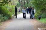 Wandeling in de Sahara voor PCD