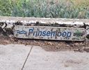 Massale vissterfte door droge Prinsenloop