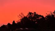 Ochtendrood, water in de sloot
