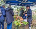 Proef Blekerheide lokt 1000 smulpapen