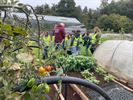 Kinderen De Stroom bezoeken volkstuin