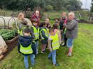 Kinderen De Stroom bezoeken volkstuin