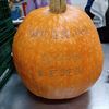 Herfstfeest bij Okra Neerpelt-Centrum