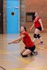 Volley: liefhebbers dames verliezen van Bree