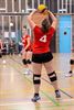 Volley: liefhebbers dames verliezen van Bree