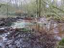Bever zet wandelpad onder water