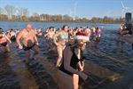 Record aantal ijsberen aan Paalse Plas