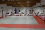 Reünietraining Judo Koersel