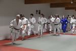 Reünietraining Judo Koersel