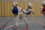 Taekwondo Donji Beringen