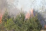 Grote brand op militair domein
