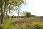 500 dapperen trotseren OLV-trail