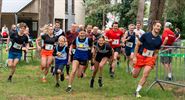 53ste editie van Boseindrun op pinkstermaandag