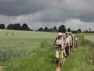 Te voet door de Vlaamse Ardennen
