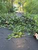 Schade door onweer