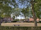 Wandelingen Beringen-Mijn