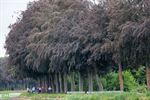Meer dan 700 wandelaars genieten van Sezoenstrail