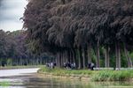 Meer dan 700 wandelaars genieten van Sezoenstrail