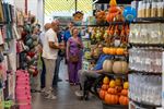 TEDi opent veertigste Belgische winkel in Bree