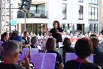 Zomerse Viva Paal eindigt in volle schoonheid