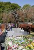 Herdenking ramp van Marcinelle