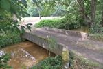 Beverdammen zorgen voor hoge waterstand