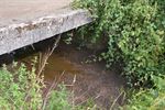 Beverdammen zorgen voor hoge waterstand