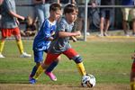 Geslaagde Breugel Cup 2026