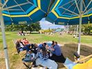 Picknickfestival aan Paalse Plas