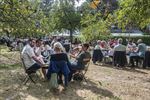 Muziek bij zomerbar Aerts Paradijs